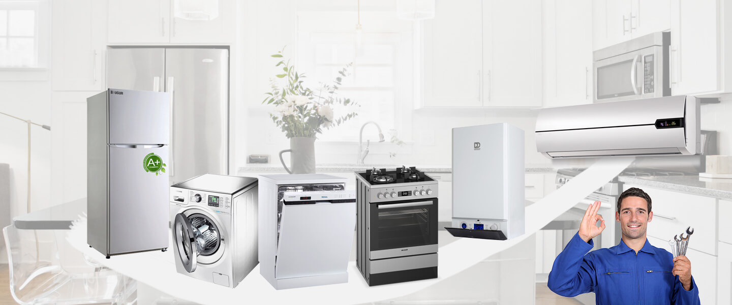 Boyalık Gorenje Servisi